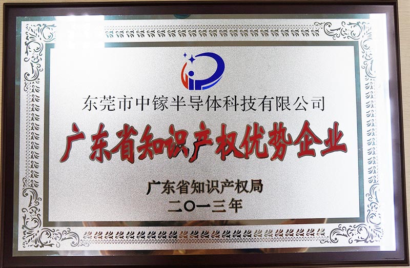 2013年广东省知识产权优势企业